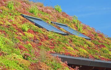 Whitmore living roof systems