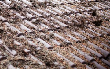 Whitmore roof cleaning companies